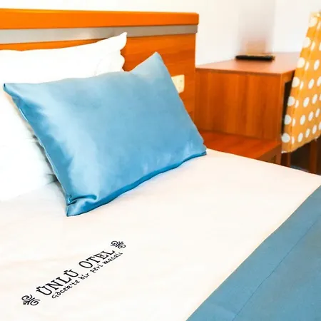 Gocek Unlu 酒店 戈西克